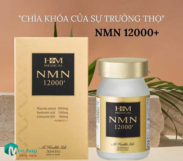nmn-12000-review12