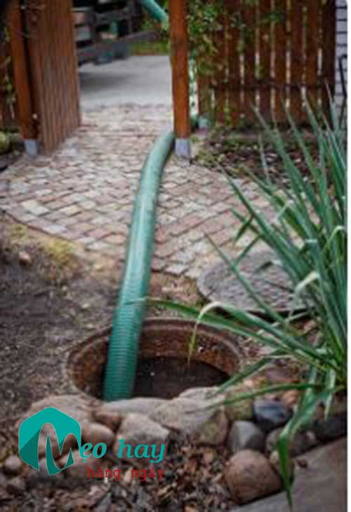 Dấu hiệu nhận biết bể phốt cần hút ngay1