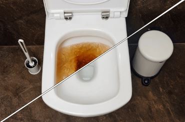 Top dụng cụ thông tắc bồn cầu phổ biến hiện nay